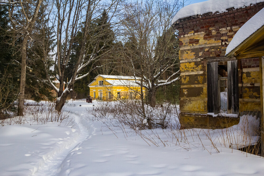 Photograph by Алексей Соколов