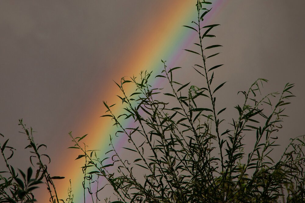Photograph by Дария Ризниченко