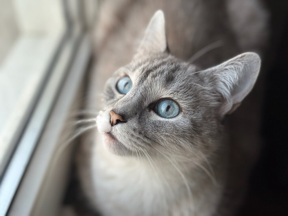Взгляд