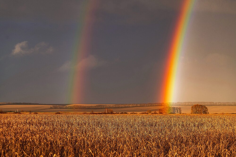 Photograph by Алексей Сиваков