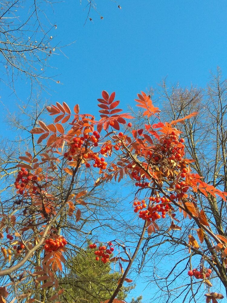 Photograph by Татьяна Петренко