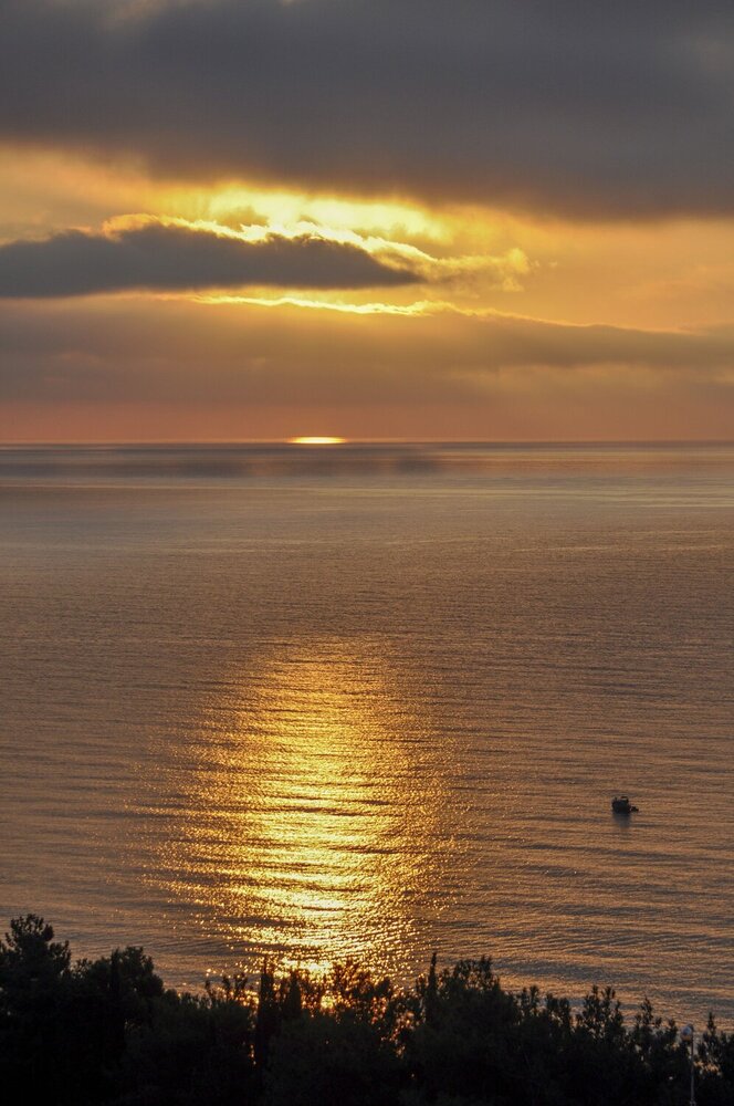Photograph by Татьяна Петренко