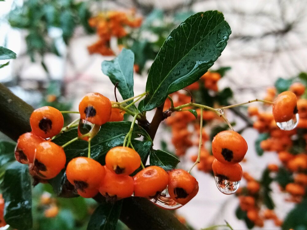 Photograph by Татьяна Худаярова
