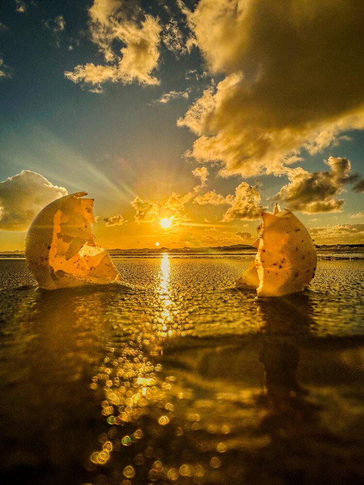 Cosmic Egg