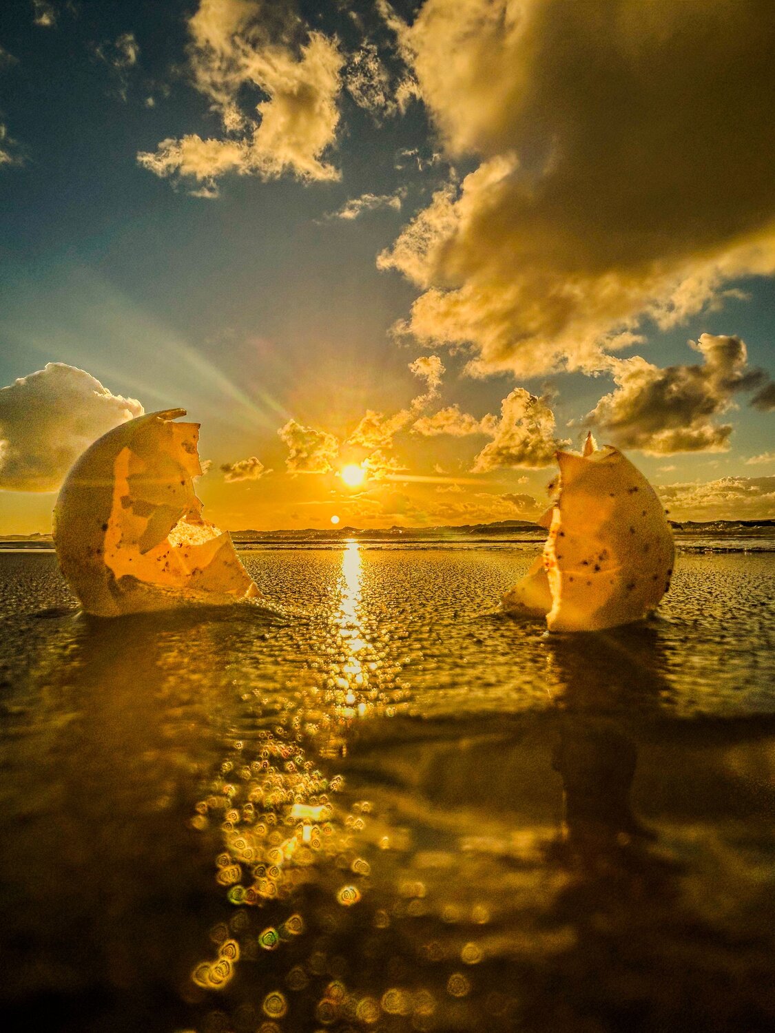 Cosmic Egg