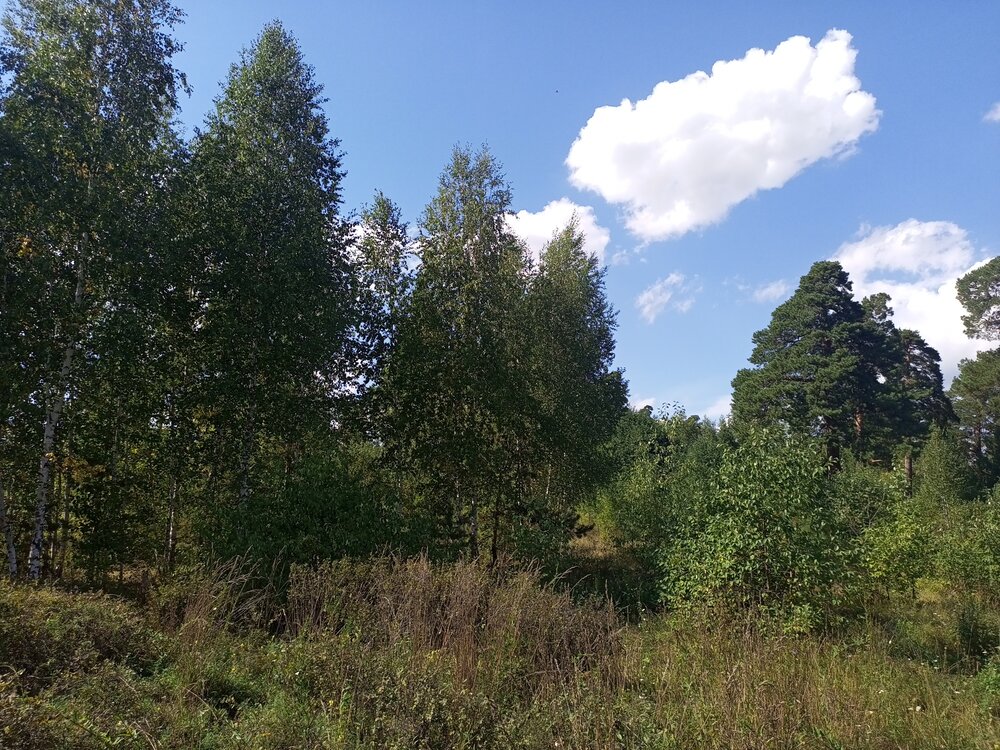 Photo #13984123