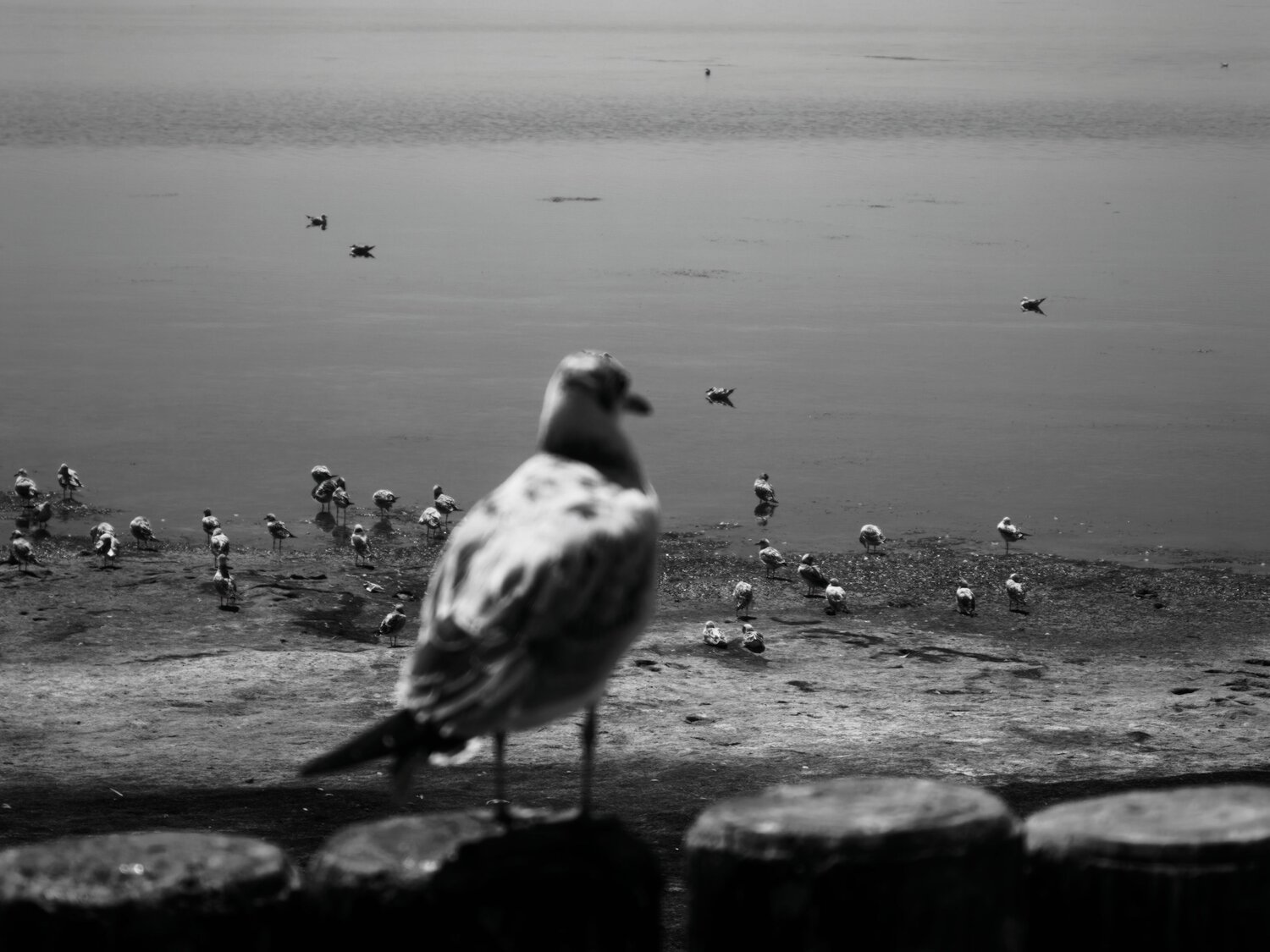 Photo #13984144