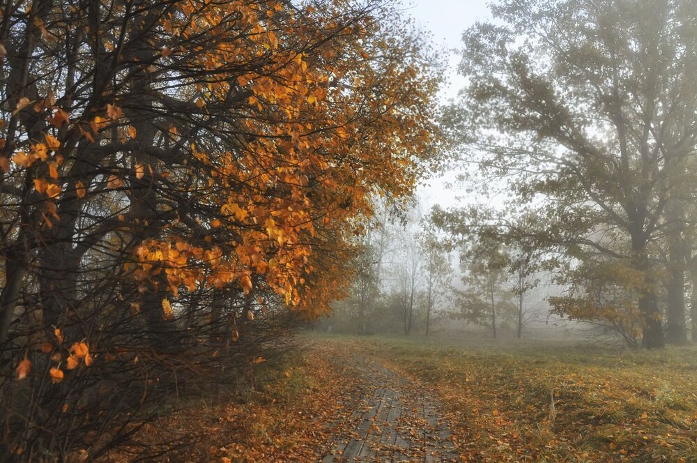 Photograph by Ирина Пинчук