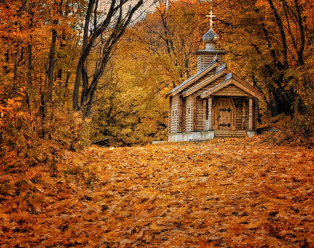 Photograph by Ирина Пинчук