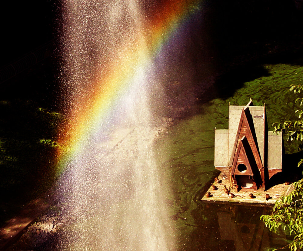 Photo #13984321
