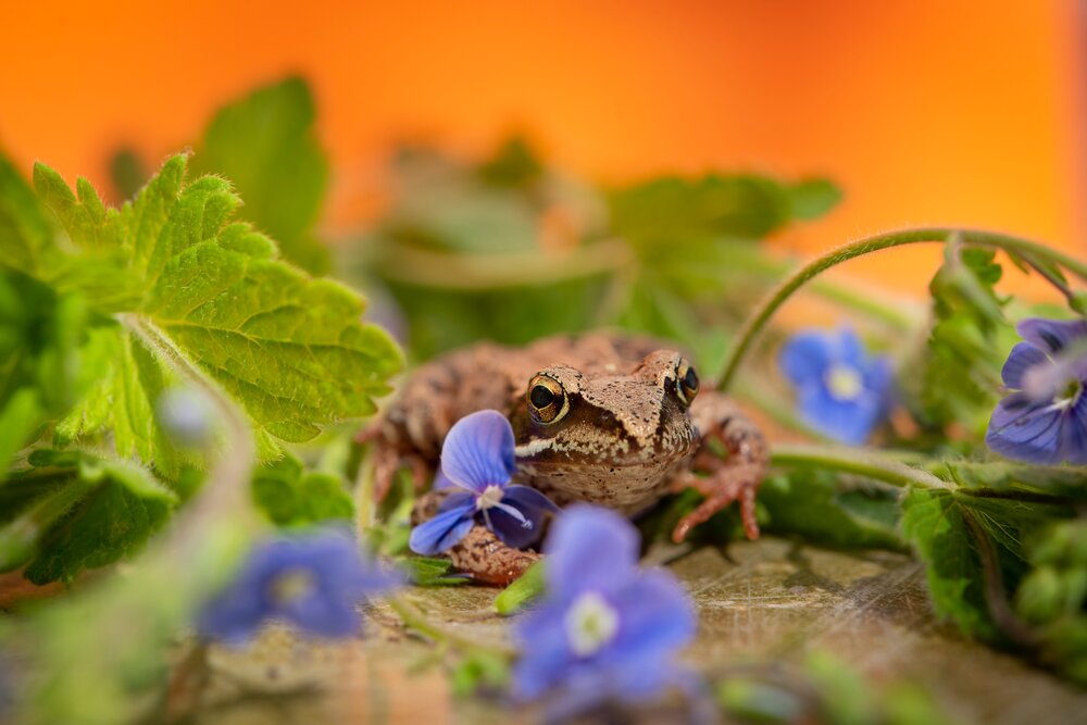 Photograph by Ольга Гоглова