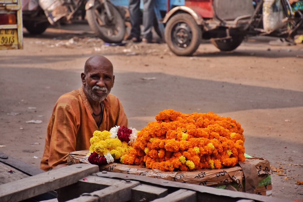 Photo #13984509