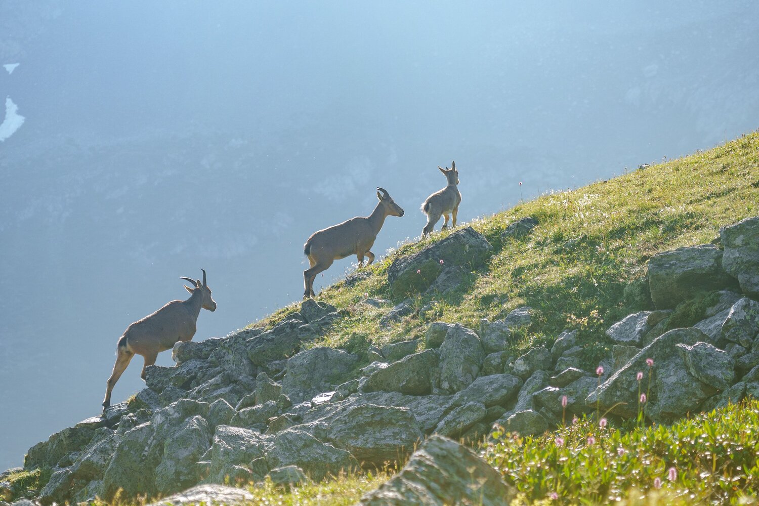 Photo #13984650