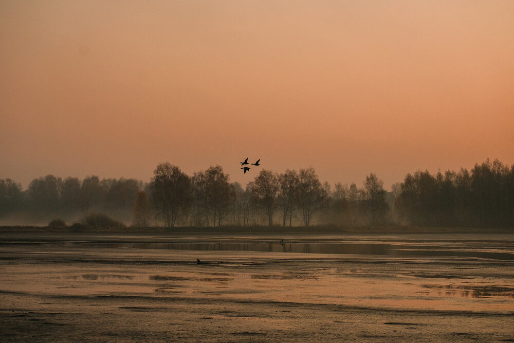 Photograph by Маруся Арбуа