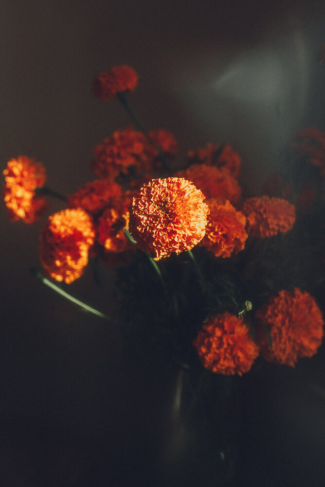 Photograph by Вика Фолина