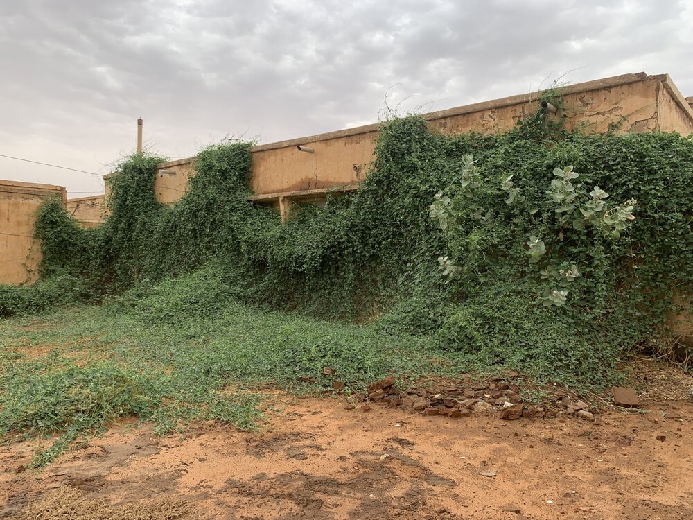 Photograph by Abdalrzzag Saif Alden