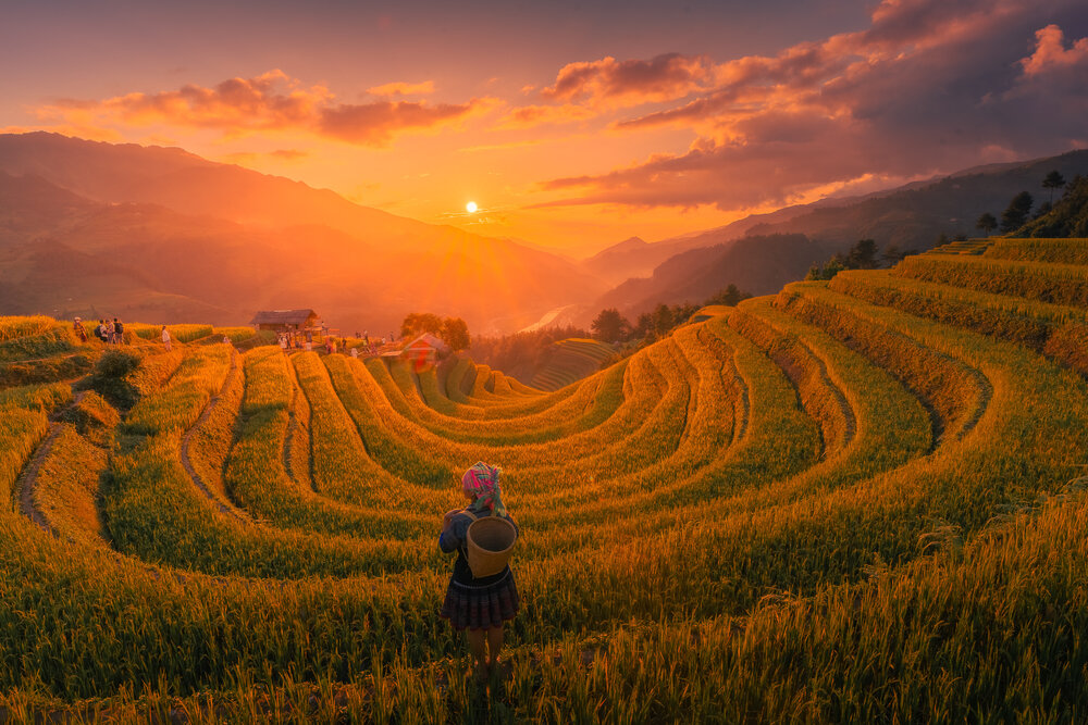 Photograph by Vu Khoa Nguyen Khanh
