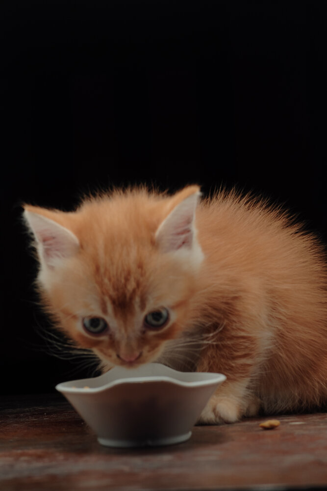 Photograph by Maryanto