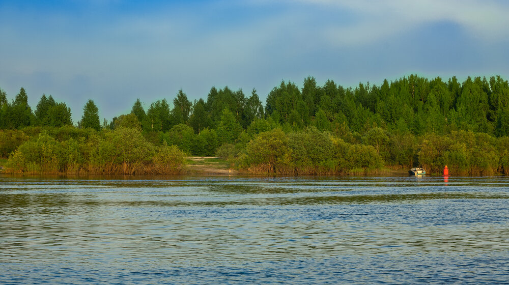 The bank of the Sukhona River on a May evening