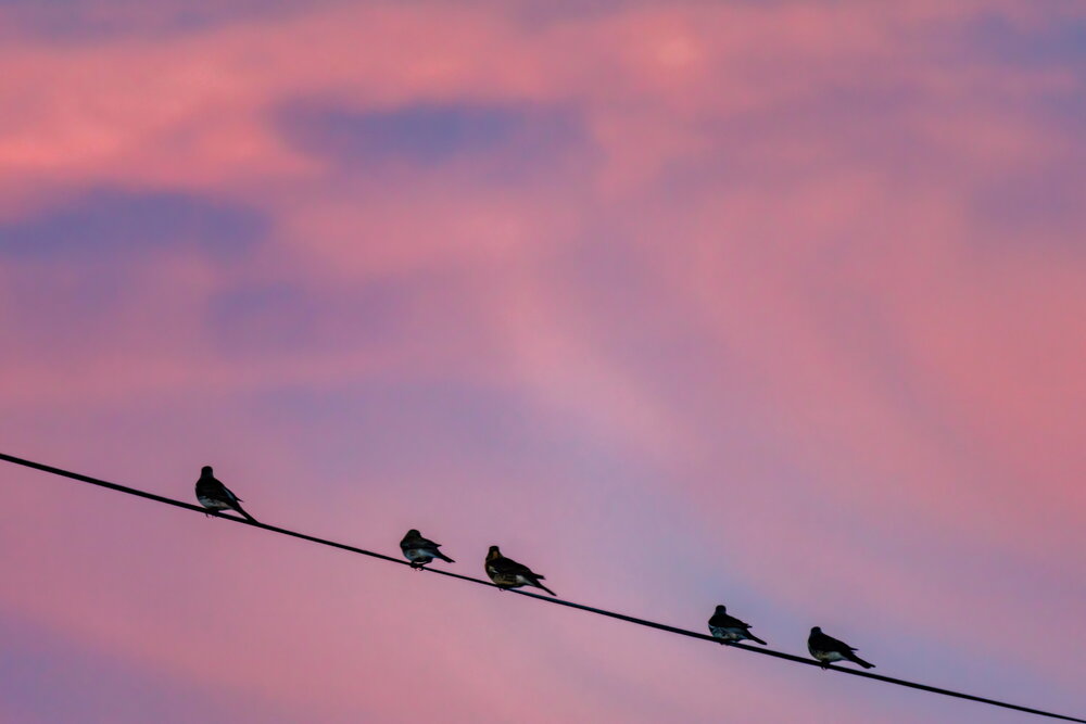 Photograph by Волынский Виктор