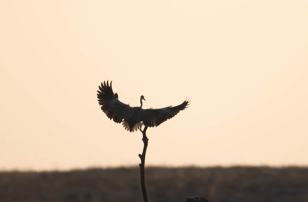 Photograph by Волынский Виктор