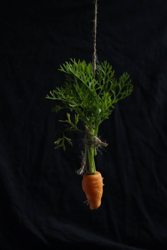 Photograph by Ekaterina Shelest-Korkunova