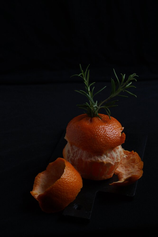 Photograph by Ekaterina Shelest-Korkunova