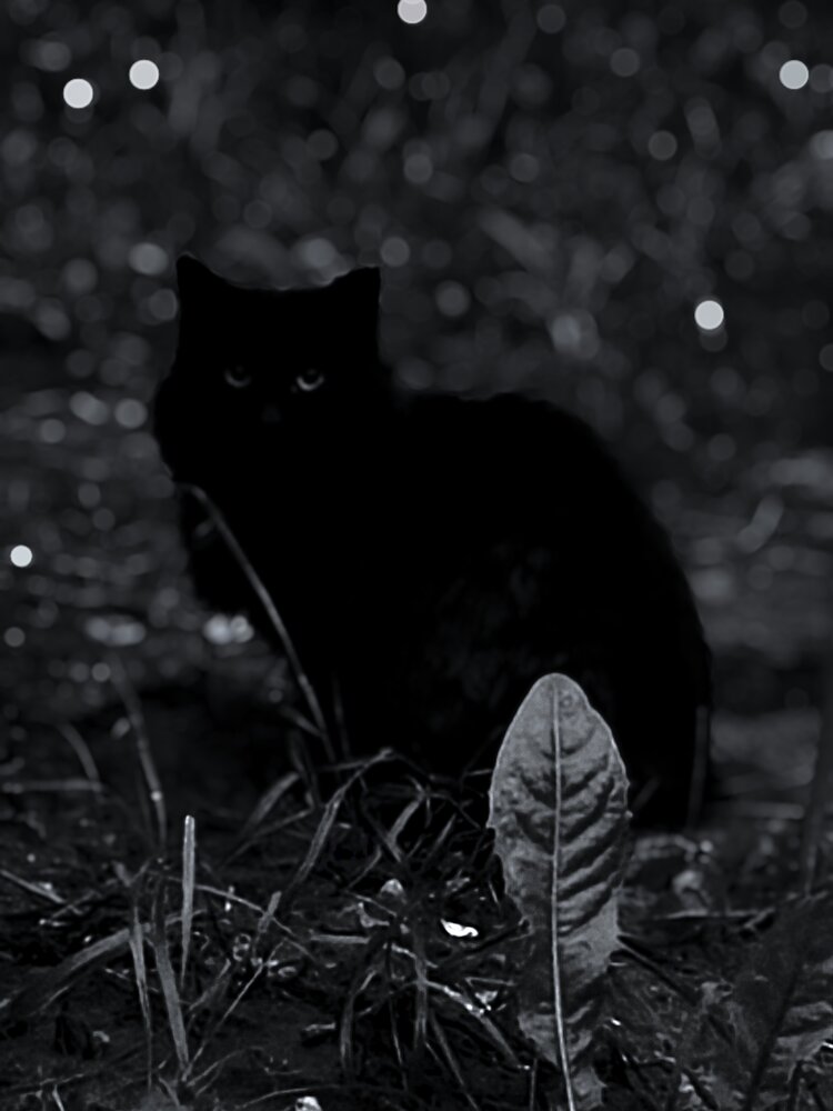 Фотография автора Марина Опарина
