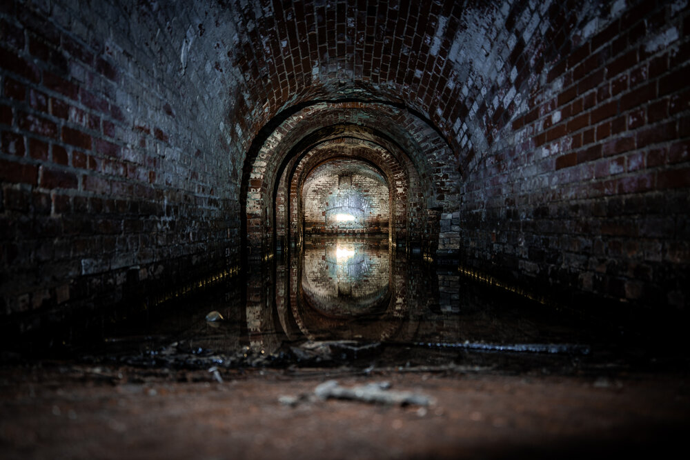 Photograph by Сергей Плотников