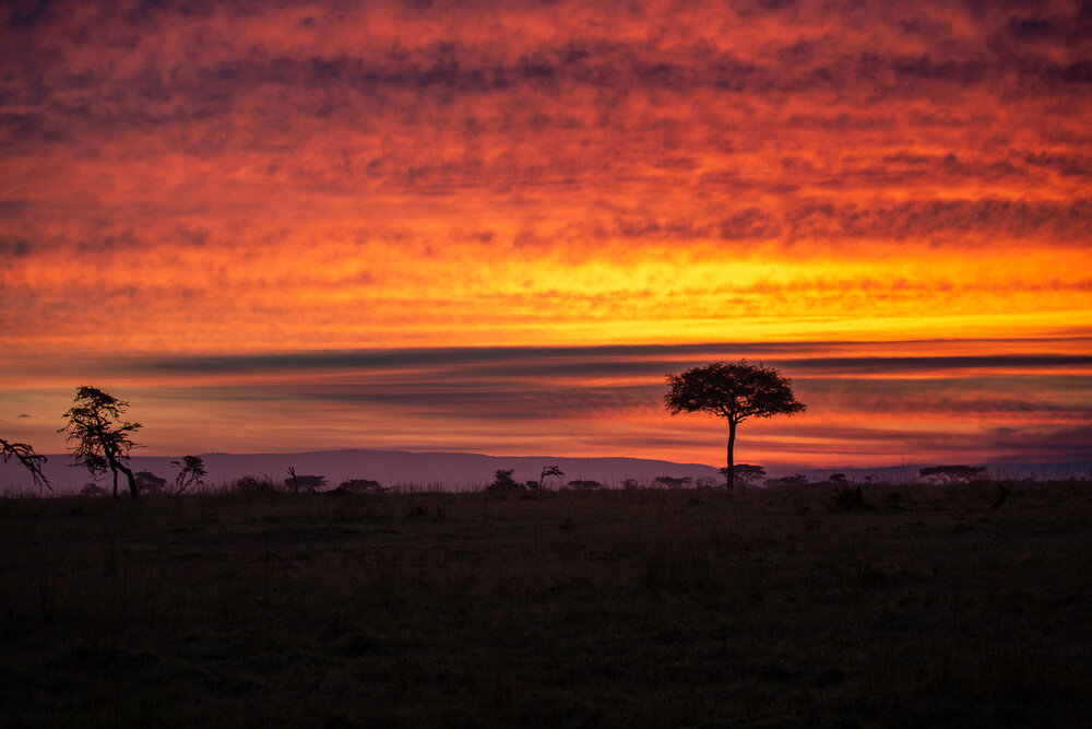 Photograph by Duc de Salier