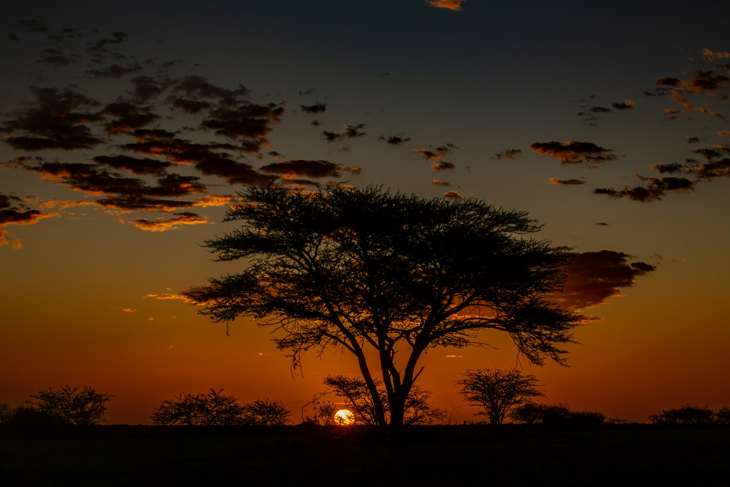 Photo #13985433