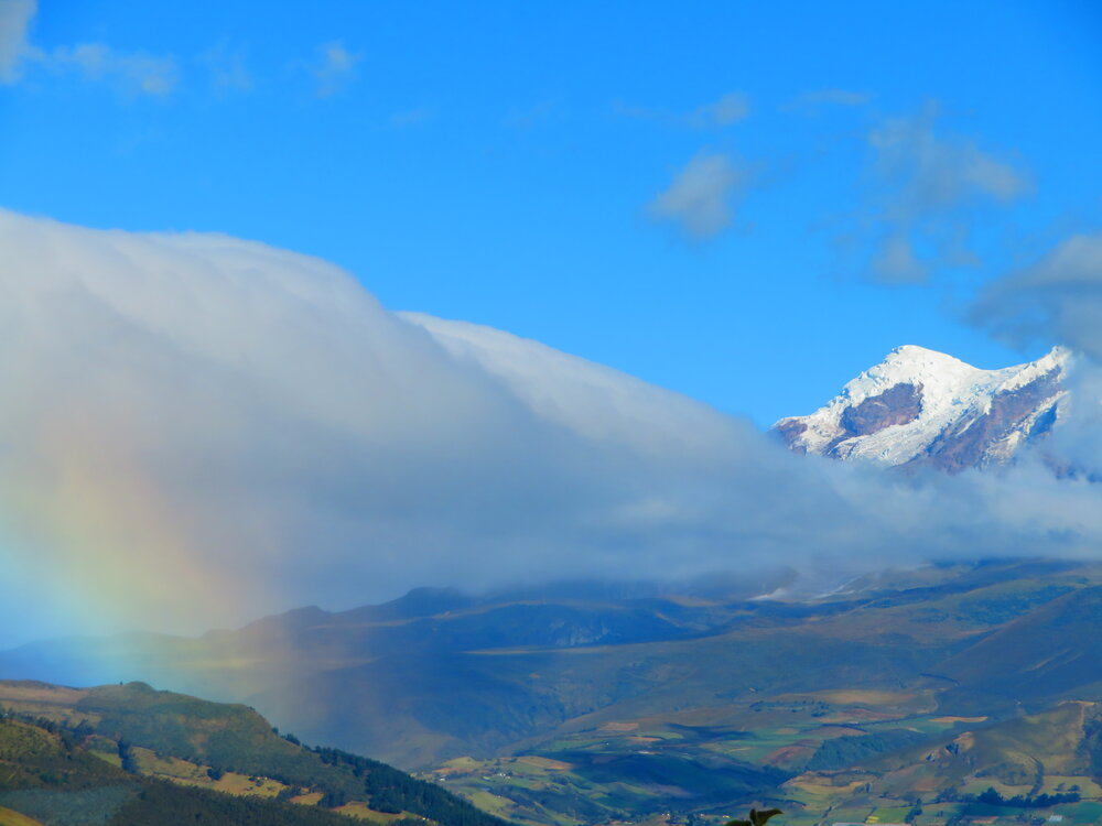 Photo #13985446