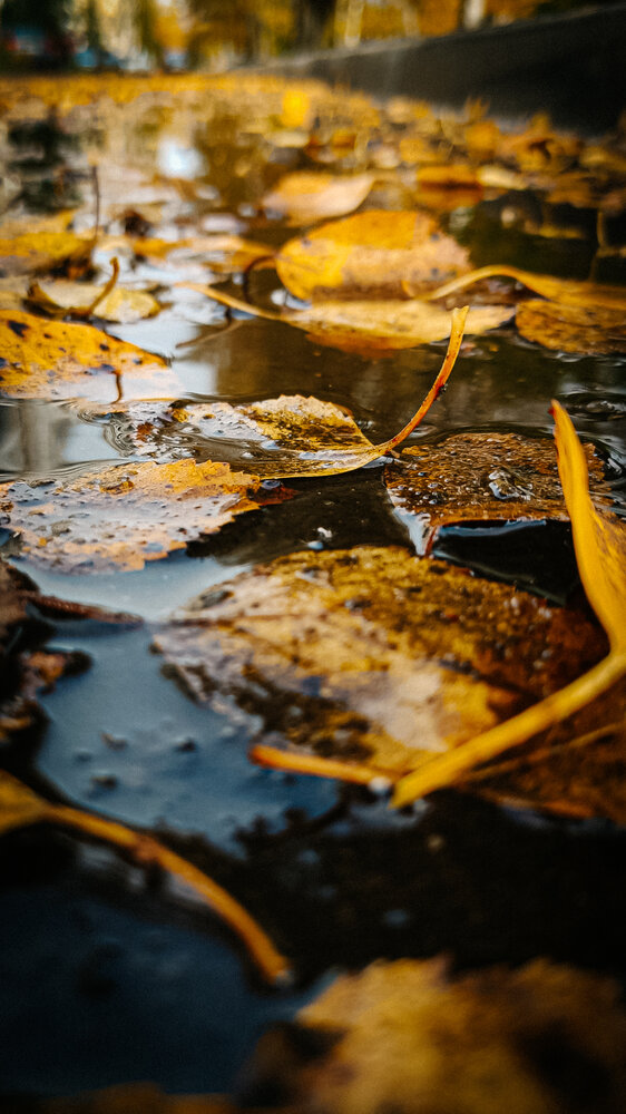 Photograph by Евгения Гродинская