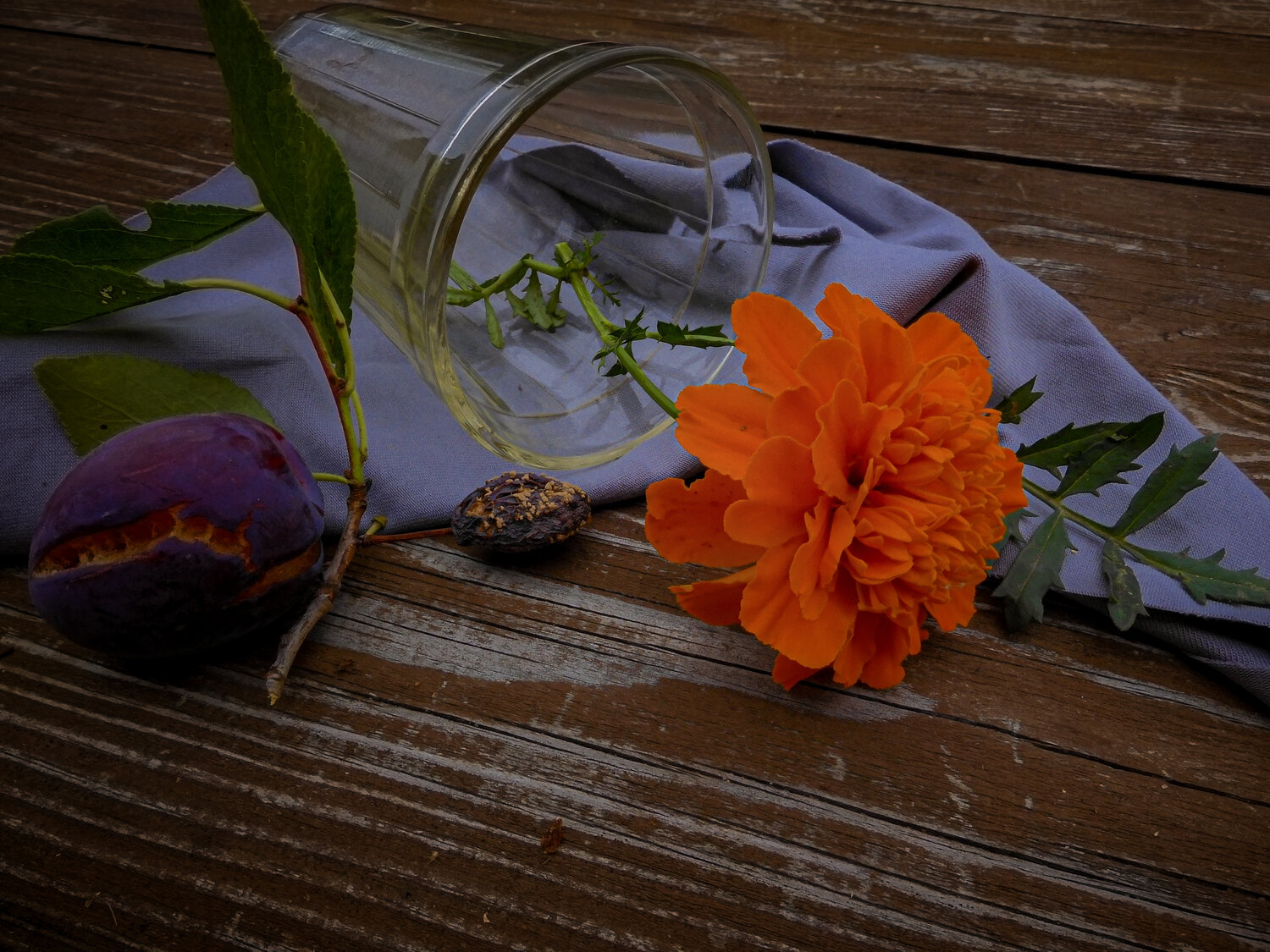 Photo #13985486