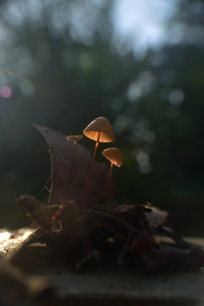 Photograph by Anas Badrunasar