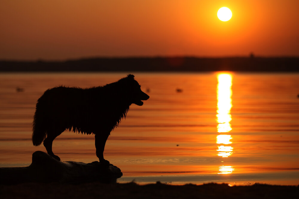 Photograph by Наташа Шибаева