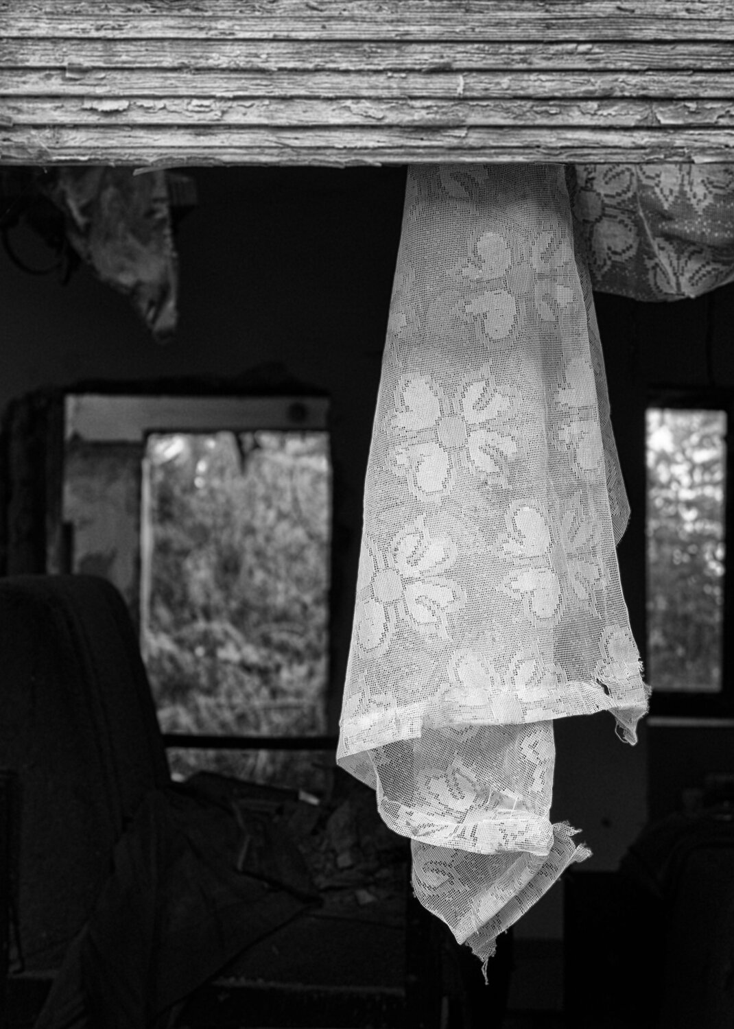 Photo #13985655