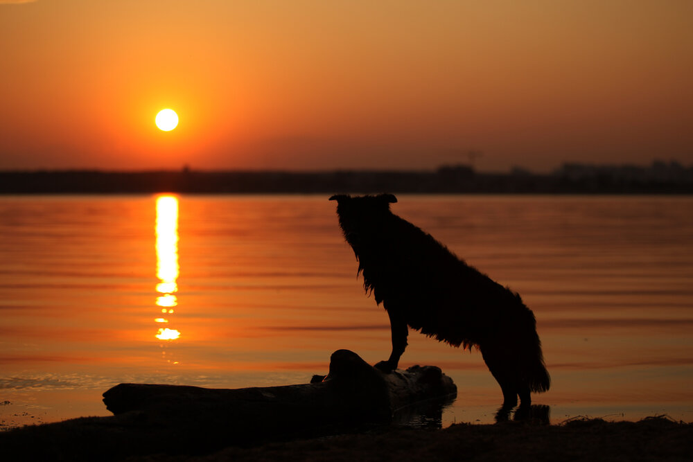 Photograph by Наташа Шибаева