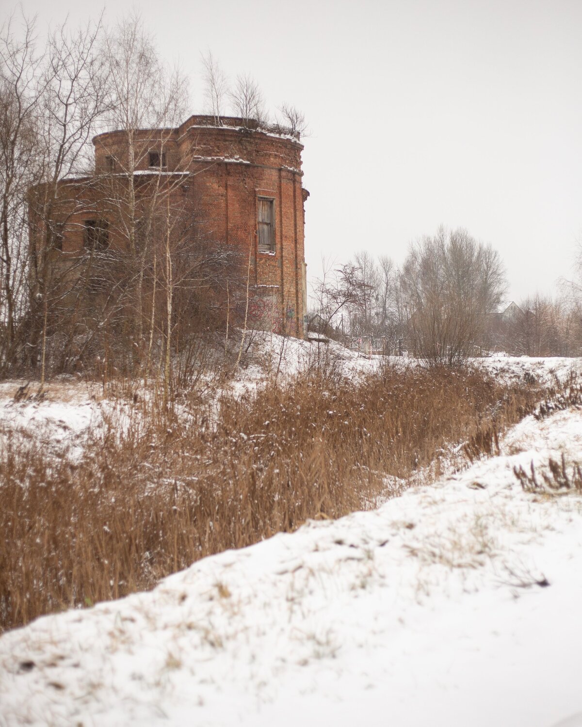 Photo #13985749