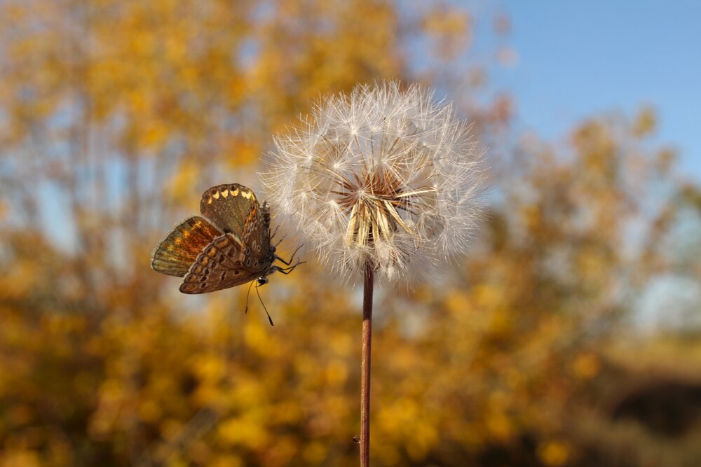Photograph by Любовь Войводич