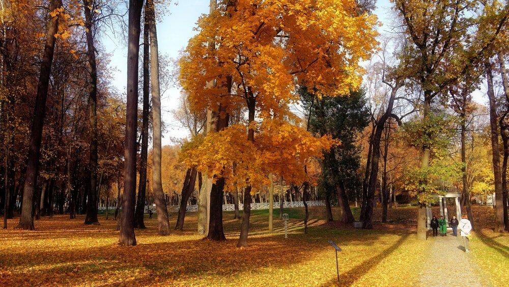 Фотография автора Вячеслав