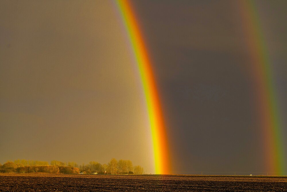 Photograph by Алексей Сиваков