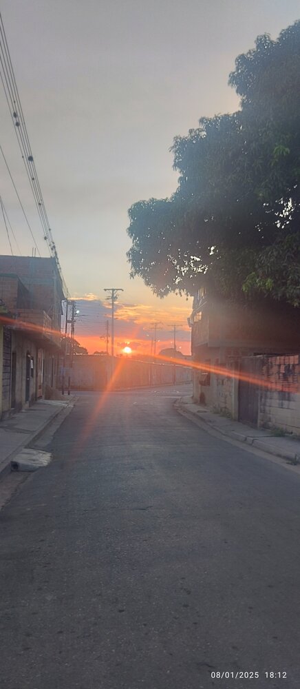 Photo #13986076