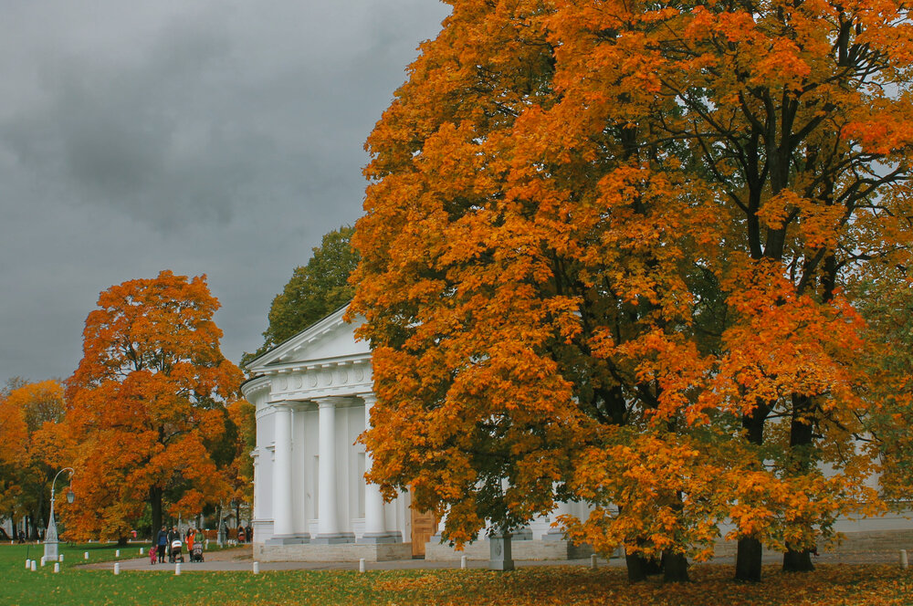 Photograph by Светлана Шупенько