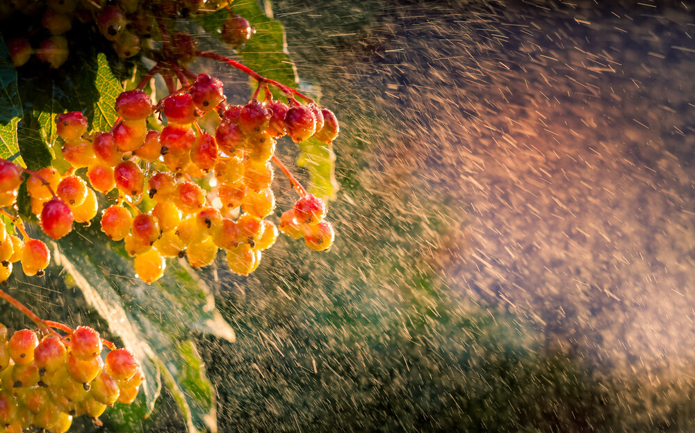 Photograph by Дмитрий Кузнецов