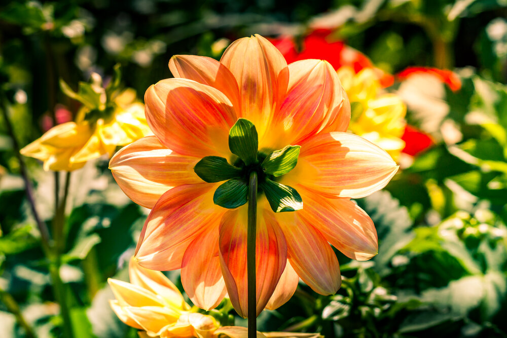 Photograph by Дмитрий Кузнецов