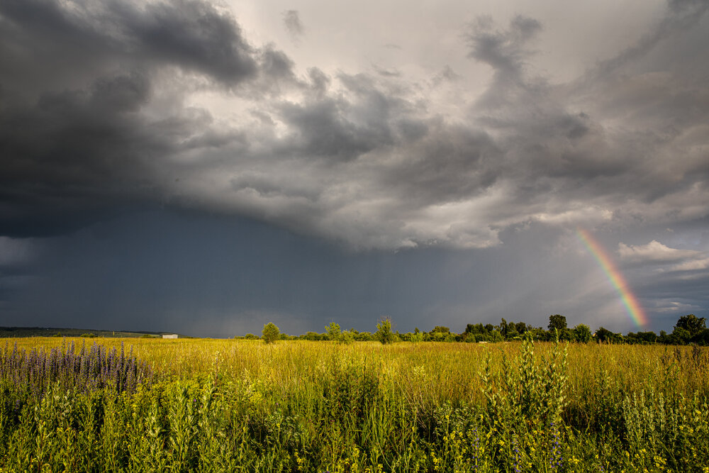 Photograph by Абашкин Сергей