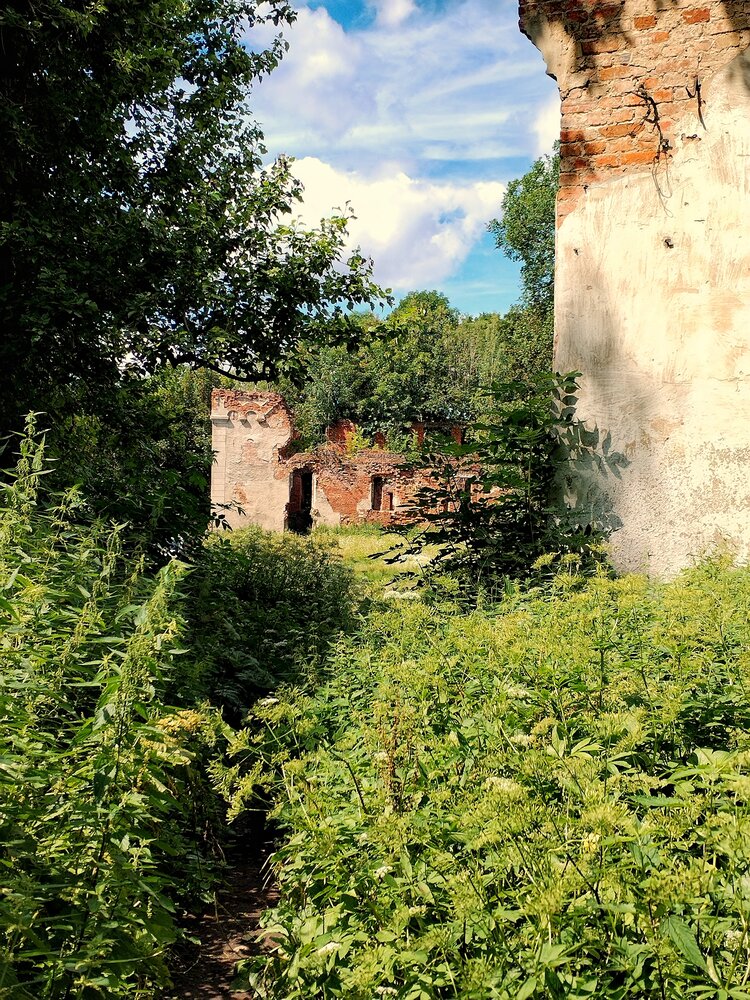Photograph by Елена Бадзюх