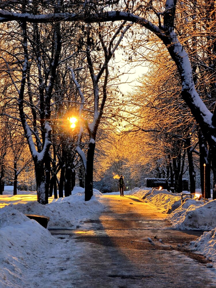 Photograph by Татьяна Соколовская