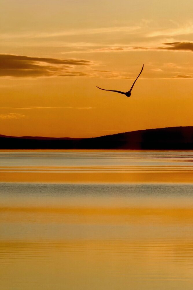 Photograph by Елизавета Нефедова